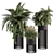 Black Pot Plant Set - Indoor Plant Set with Round Stand 3D model small image 1