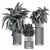 Black Pot Plant Set - Indoor Plant Set with Round Stand 3D model small image 6