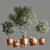 Green Oasis Indoor Plant Set 3D model small image 1