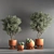 Green Oasis Indoor Plant Set 3D model small image 3
