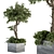 Stone Box Garden: Outdoor Plant Set 3D model small image 1