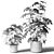 Black Pot Schefflera: Greenery for Any Space 3D model small image 2