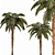 Tropical Palm Tree Collection 3D model small image 1