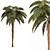 Tropical Palm Tree Collection 3D model small image 2