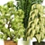 Indoor Plant Vol 11: Stunning Botanical Beauty 3D model small image 2