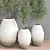 Modern Indoor Plant Set 3D model small image 3