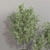 Modern Indoor Plant Set 3D model small image 5