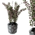 Plastic Pot Plants - Indoor Greenery 3D model small image 4