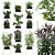 Vertical Garden: 72 Plant Varieties 3D model small image 1