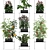 Vertical Garden: 72 Plant Varieties 3D model small image 2