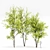 Real Tree Spring: High-Quality 3D Models 3D model small image 1
