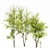 Real Tree Spring: High-Quality 3D Models 3D model small image 8