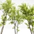 Real Tree Spring: High-Quality 3D Models 3D model small image 9