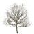  Majestic Oak Tree - 13m Height 3D model small image 3