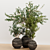 Indoor Plant Trio with Unique Pot 3D model small image 10
