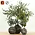 Indoor Plant Trio with Unique Pot 3D model small image 2