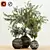Indoor Plant Trio with Unique Pot 3D model small image 3