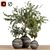 Indoor Plant Trio with Unique Pot 3D model small image 8