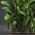 Tropical Plant Assortment in Rustic Metal Pots 3D model small image 6