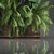 Tropical Plant Assortment in Rustic Metal Pots 3D model small image 2