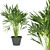 Indoor Palm Collection Vol. 256 3D model small image 5