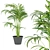 Indoor Palm Collection Vol. 256 3D model small image 6