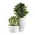 Concrete Potted Indoor Plants 3D model small image 2