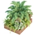Premium Outdoor Plant Collection 3D model small image 6