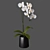 Elegant White Orchid: Pot of Delicate Beauty 3D model small image 2