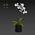 Elegant White Orchid: Pot of Delicate Beauty 3D model small image 6