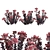 Exquisite Sedum Purple Emperor 3D model small image 1