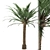 Tropical Paradise Palm Tree 3D model small image 1