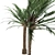 Tropical Paradise Palm Tree 3D model small image 2