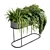 Modern Indoor Plant Collection: Metal Stand and Vase Pot 3D model small image 1