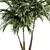 Tropical Bliss - Palm Tree Trio 3D model small image 2