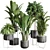 143 Indoor Plants Collection: Ravenala Ficus, Rubbery Palm Stand & Concrete Vase 3D model small image 1