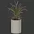 Premium Plant Collection 3D model small image 2