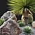 Australian Garden Set: Yucca, Cactus, Agave & Rocks 3D model small image 2