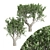 Elegant African Olive Trees 3D model small image 1