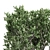 Elegant African Olive Trees 3D model small image 2