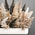 Ethereal Reed Bouquet 3D model small image 5