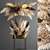 Elegant Dried Reed Bouquet 3D model small image 6