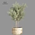 Minimalist Indoor Plant Stand 3D model small image 1