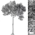Evergreen Green Needle Tree Set 3D model small image 4
