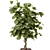 Rusty Concrete Pot Indoor Plants Set 3D model small image 3