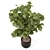 Rusty Concrete Pot Indoor Plants Set 3D model small image 5