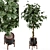 Wood & Concrete Indoor Plant Set 3D model small image 1