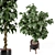 Wood & Concrete Indoor Plant Set 3D model small image 2