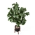 Wood & Concrete Indoor Plant Set 3D model small image 5