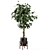 Wood & Concrete Indoor Plant Set 3D model small image 6